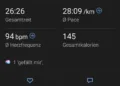 GARMIN Instinct 3 AMOLED - Schrittdaten 2