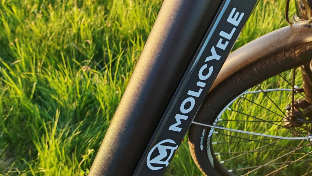 BuyBestGear - Molicycle R1 250W - Akku