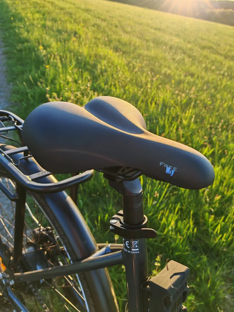 BuyBestGear - Molicycle R1 250W - SR SELLE ROYAL Sattel Vorderseite
