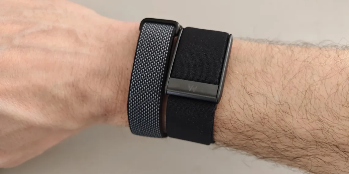 Google Fitbit Air