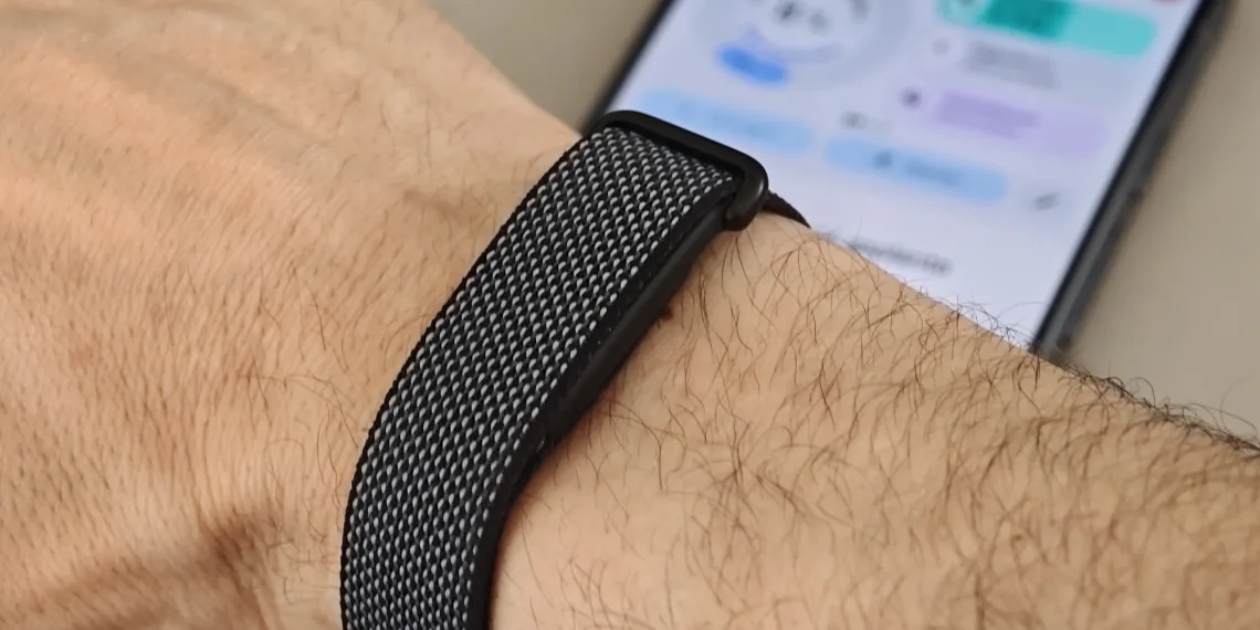 Google Fitbit Air