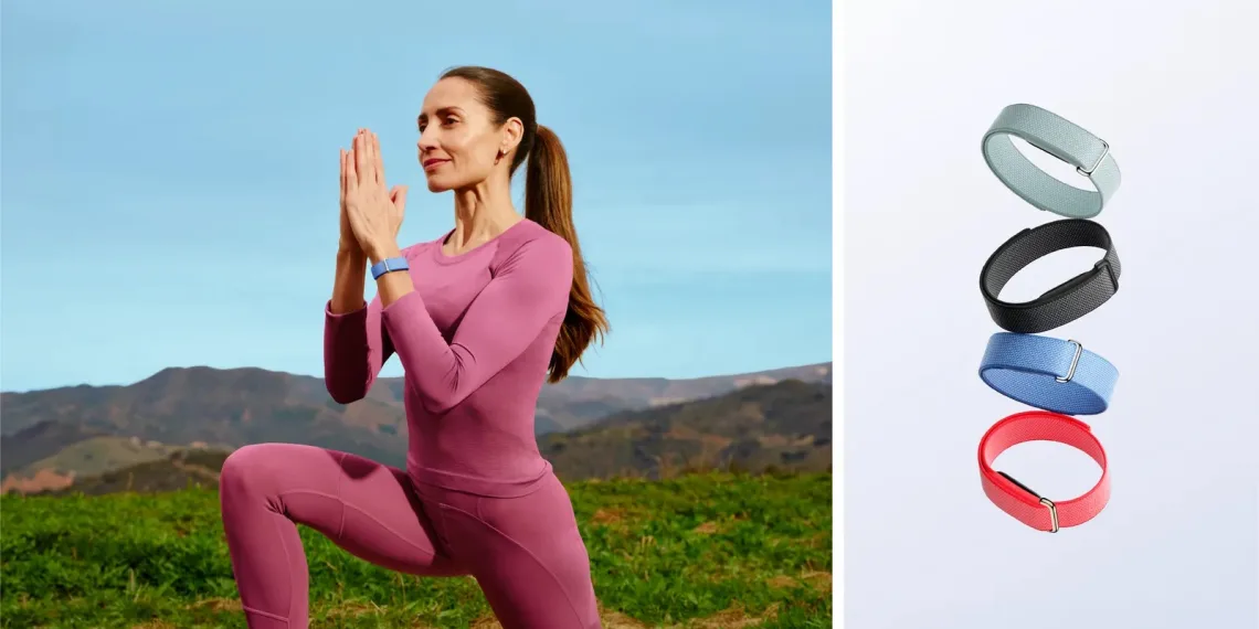 Google Fitbit Air