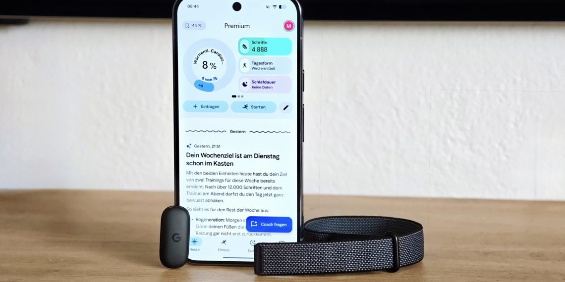Google Fitbit Air