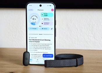 Google Fitbit Air