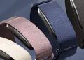 Garmin CIRQA Smartband